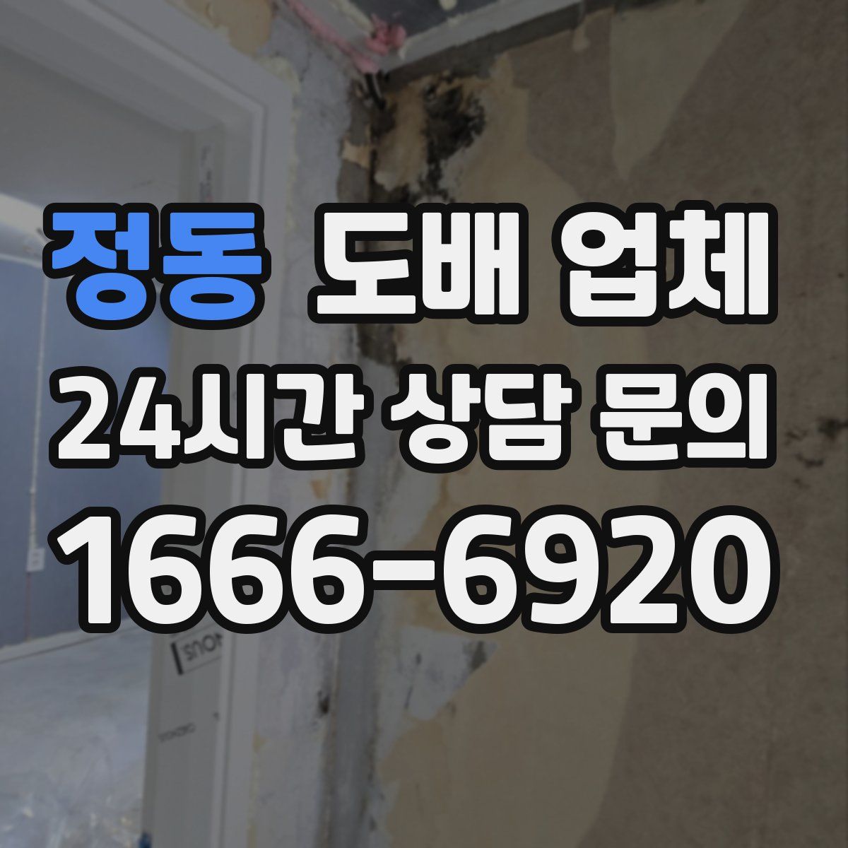 정동 도배 업체