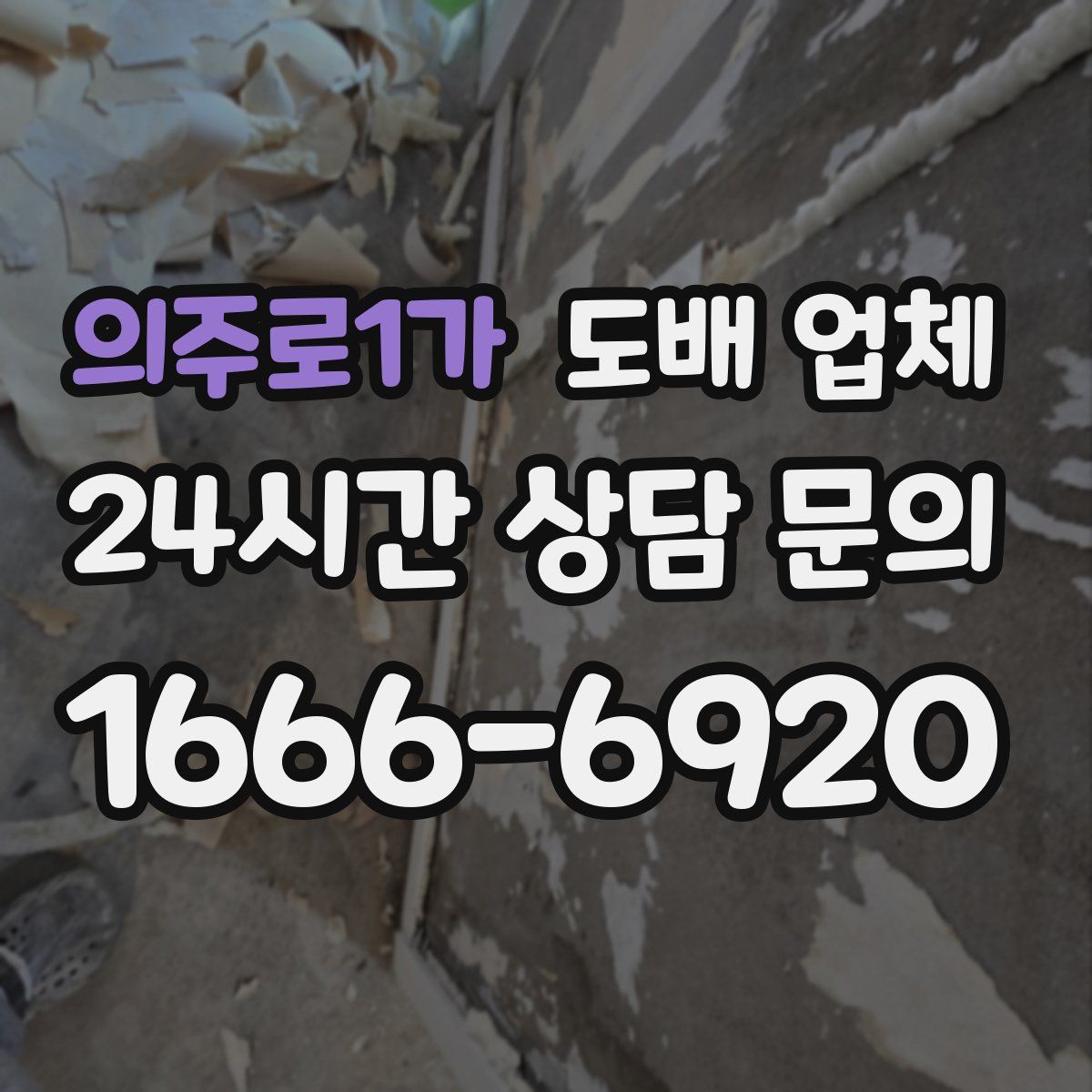 의주로1가 도배 업체