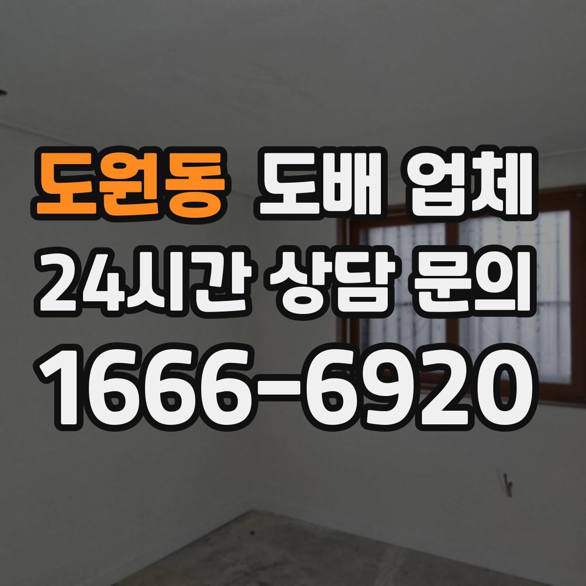 도원동 도배 업체