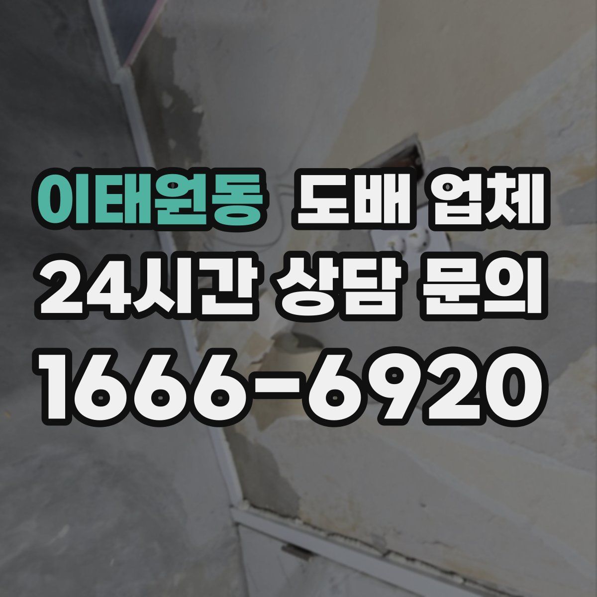 이태원동 도배 업체