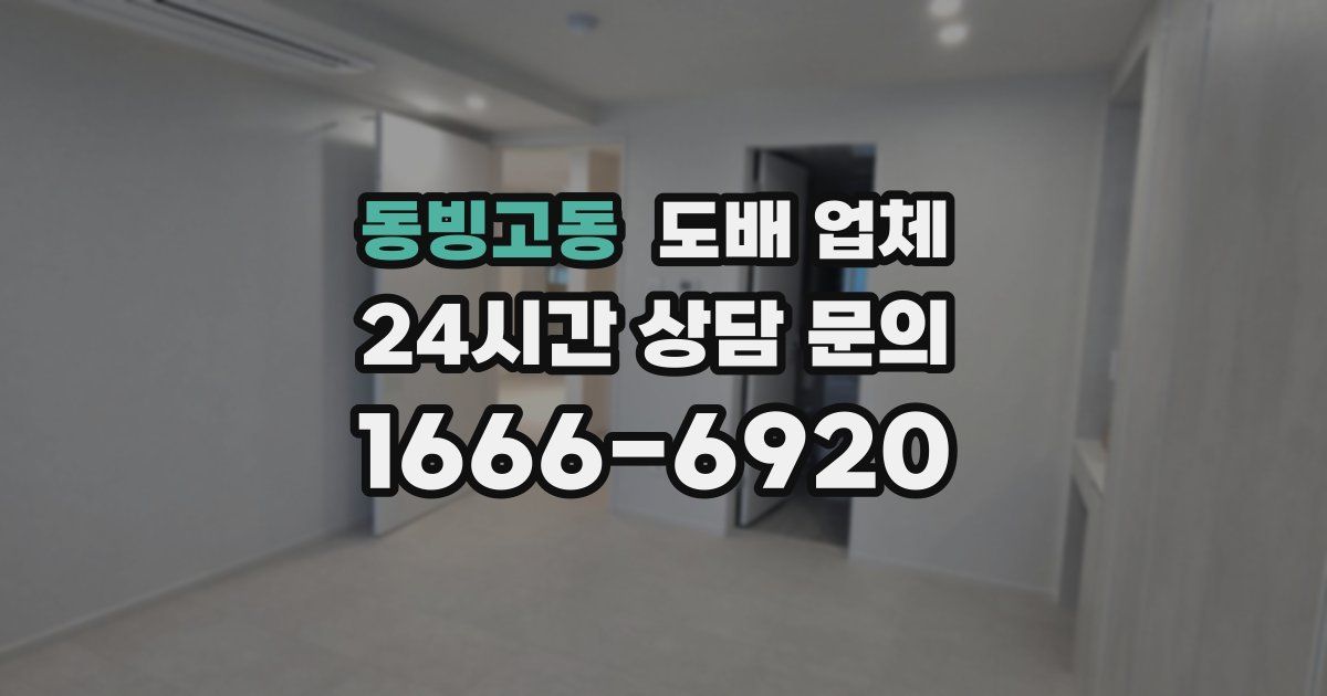 동빙고동 도배 업체