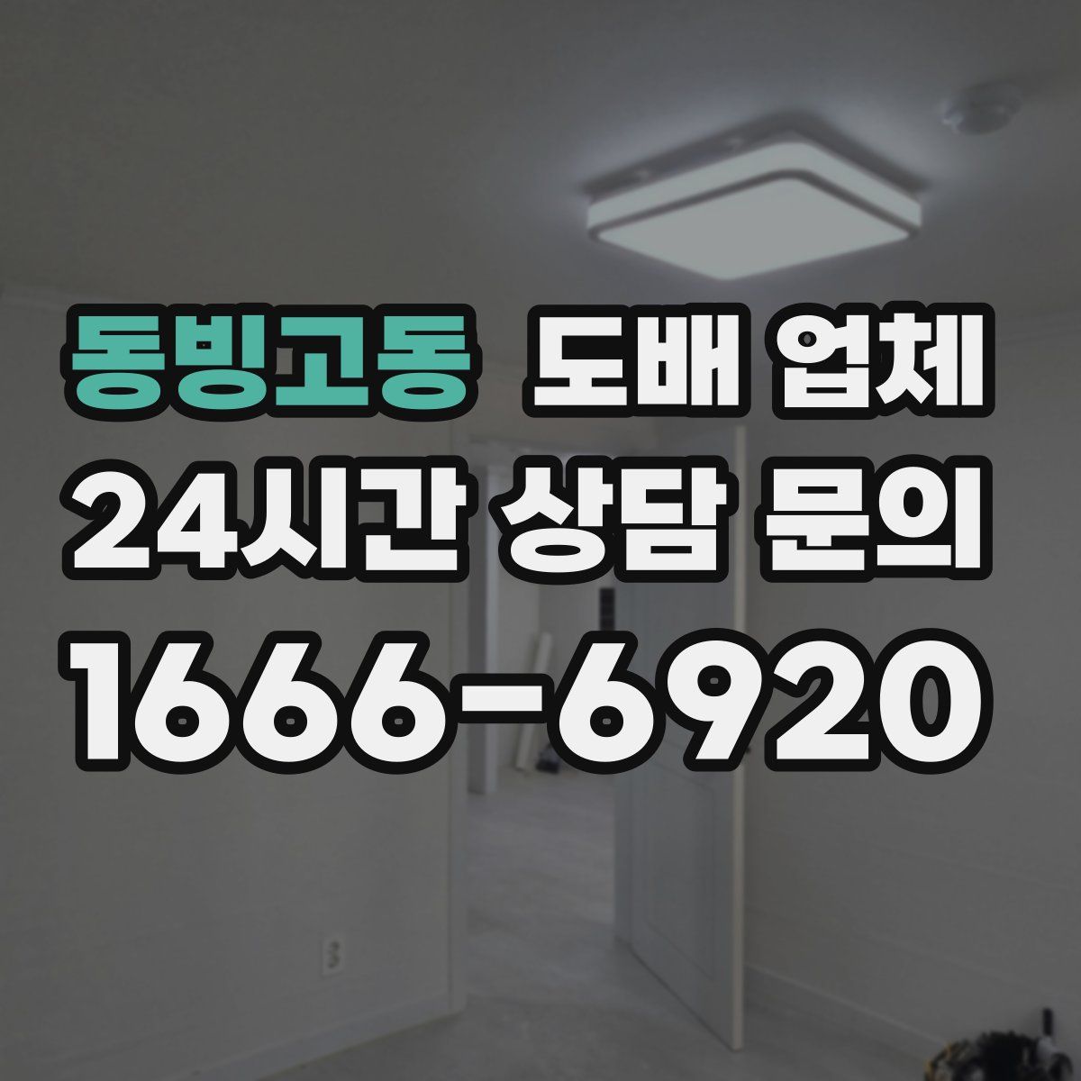 동빙고동 도배 업체