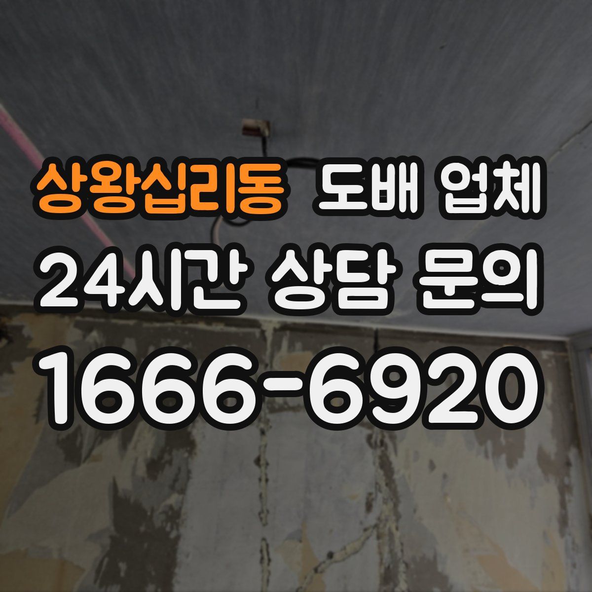 상왕십리동 도배 업체