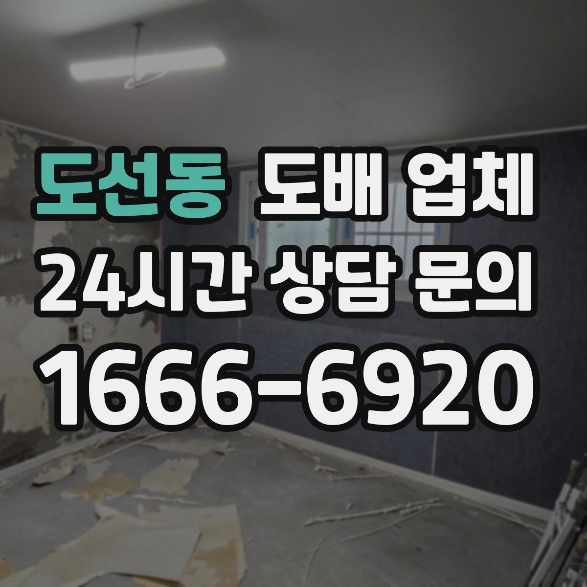 도선동 도배 업체