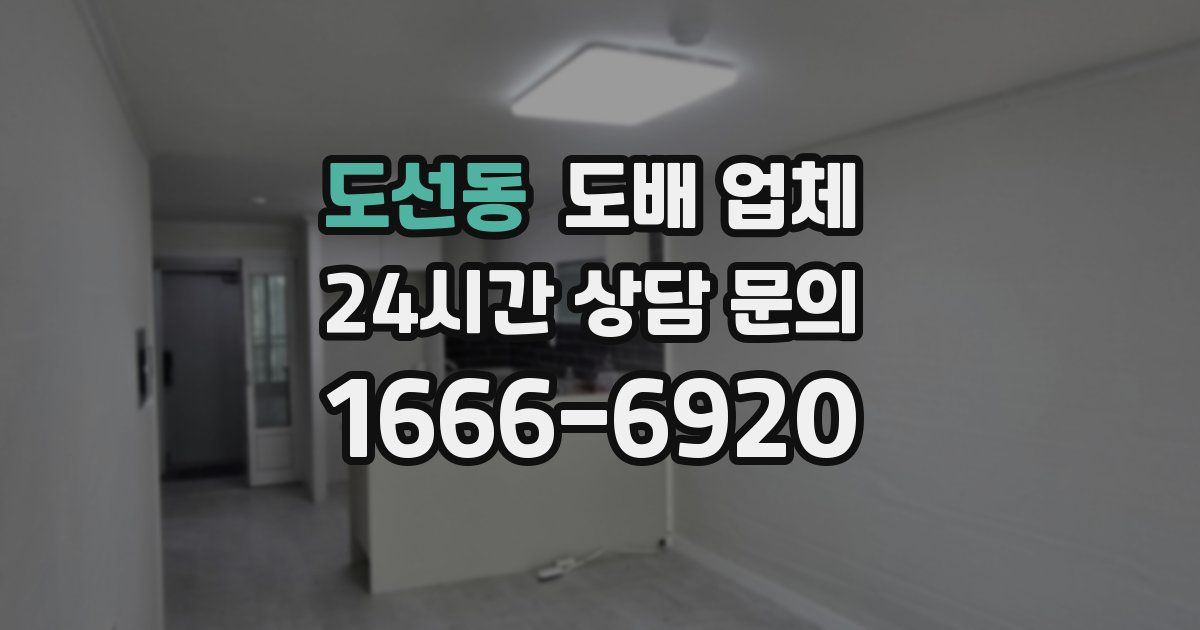 도선동 도배 업체