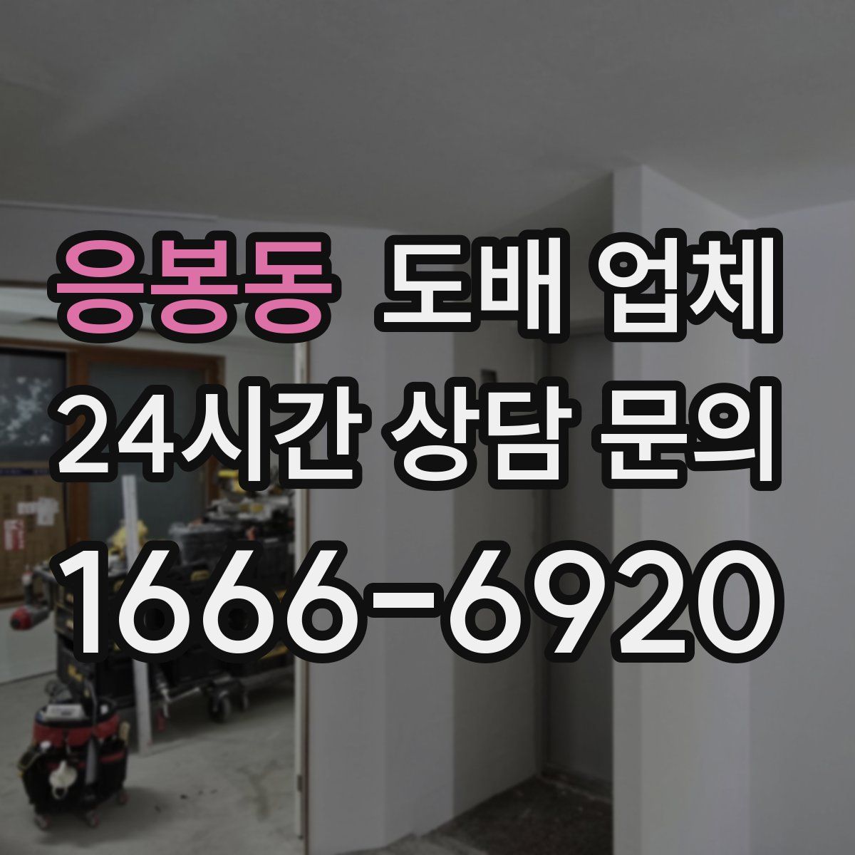 응봉동 도배 업체