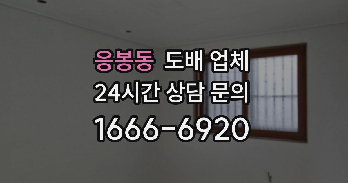 응봉동 도배 업체