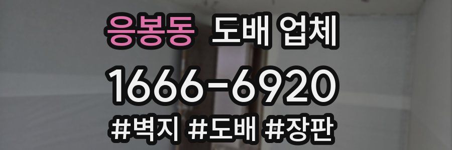 응봉동 도배 업체