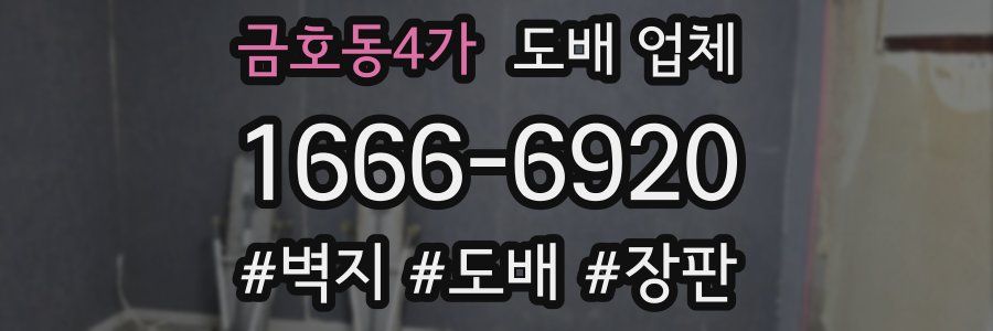 금호동4가 도배 업체