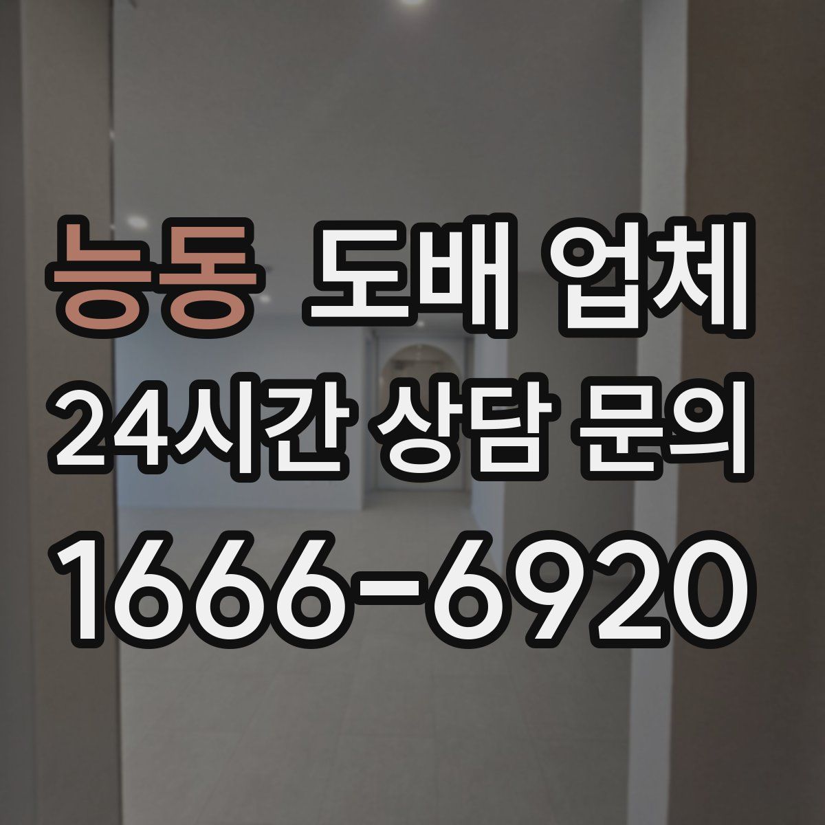 능동 도배 업체