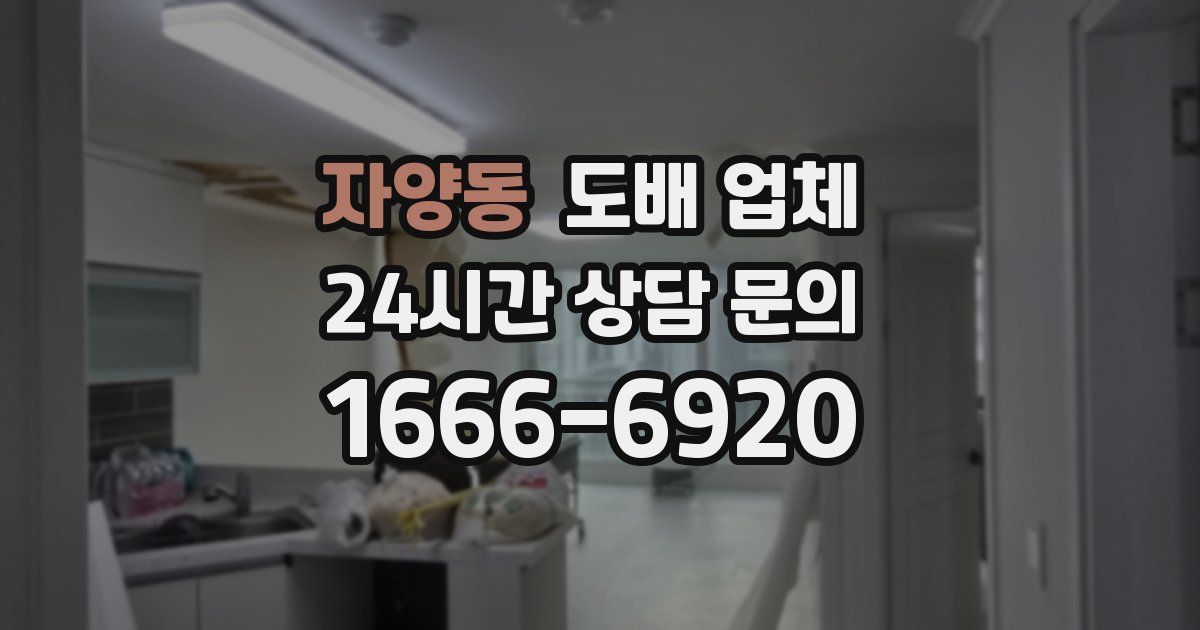 자양동 도배 업체