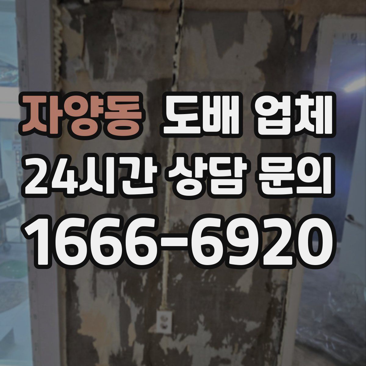 자양동 도배 업체