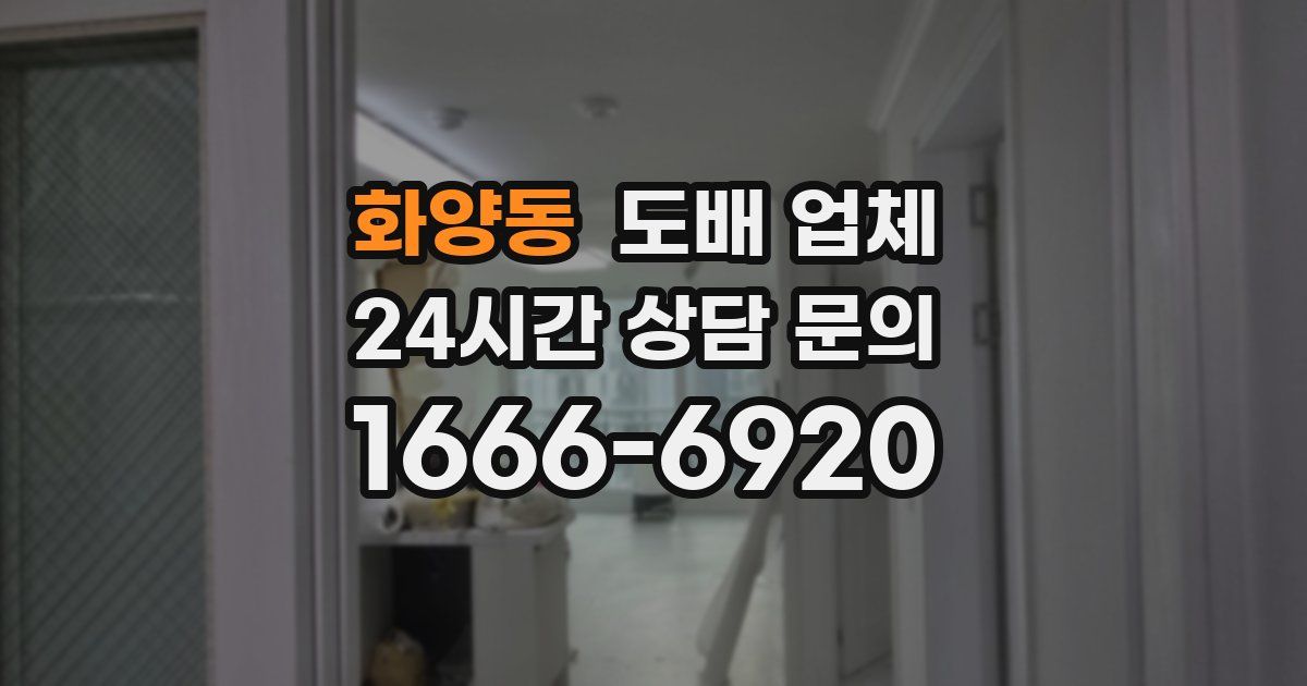 화양동 도배 업체