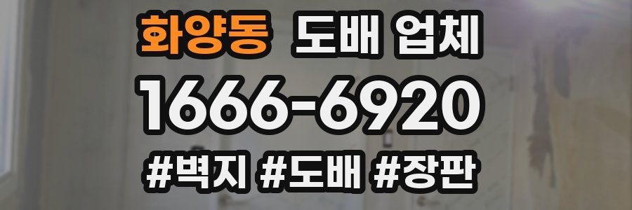 화양동 도배 업체
