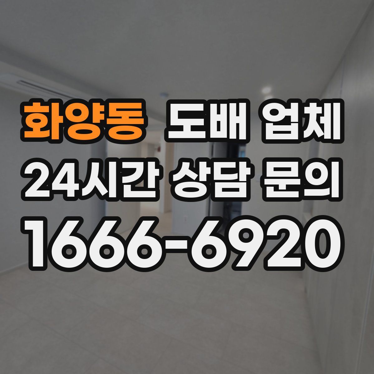 화양동 도배 업체