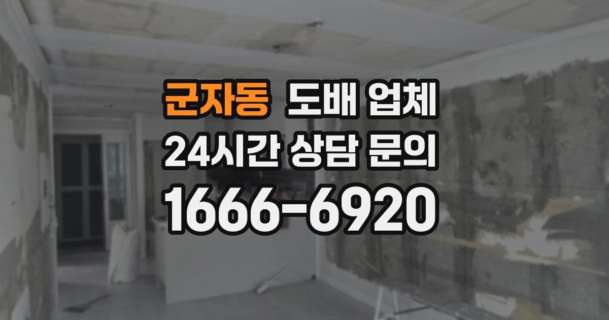 군자동 도배 업체