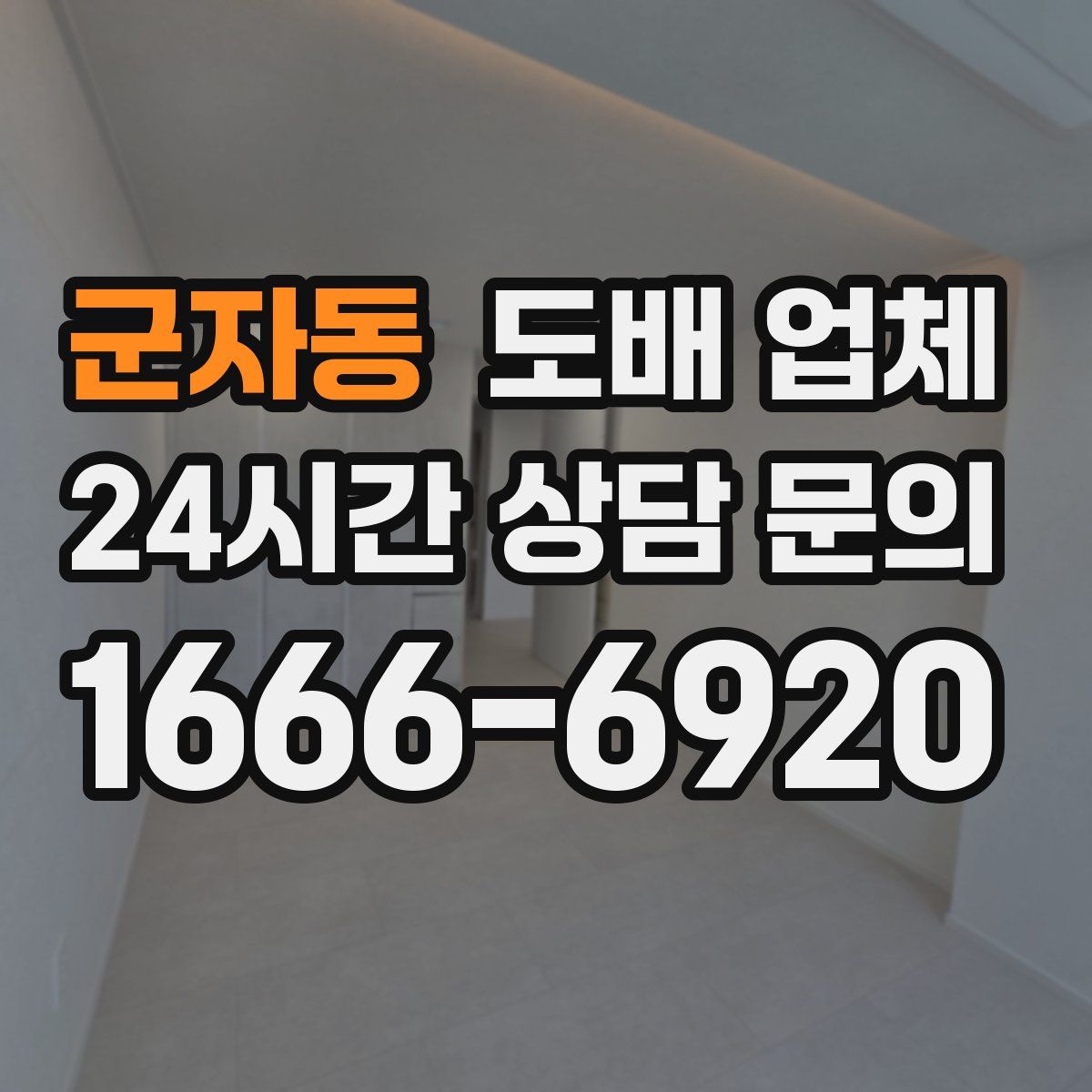 군자동 도배 업체
