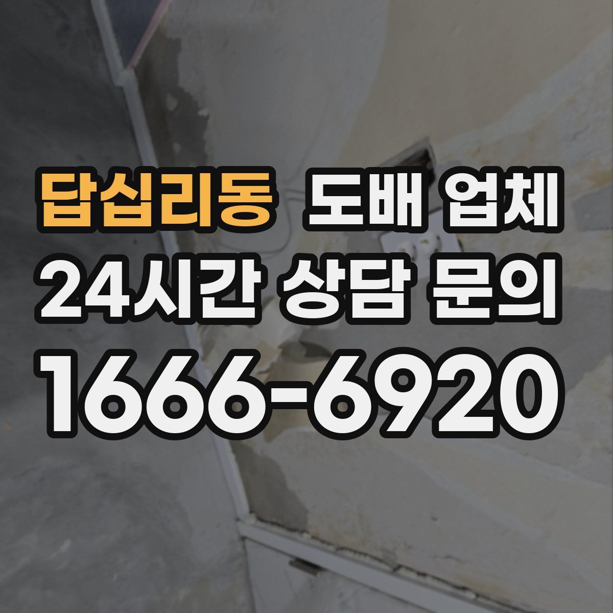 답십리동 도배 업체