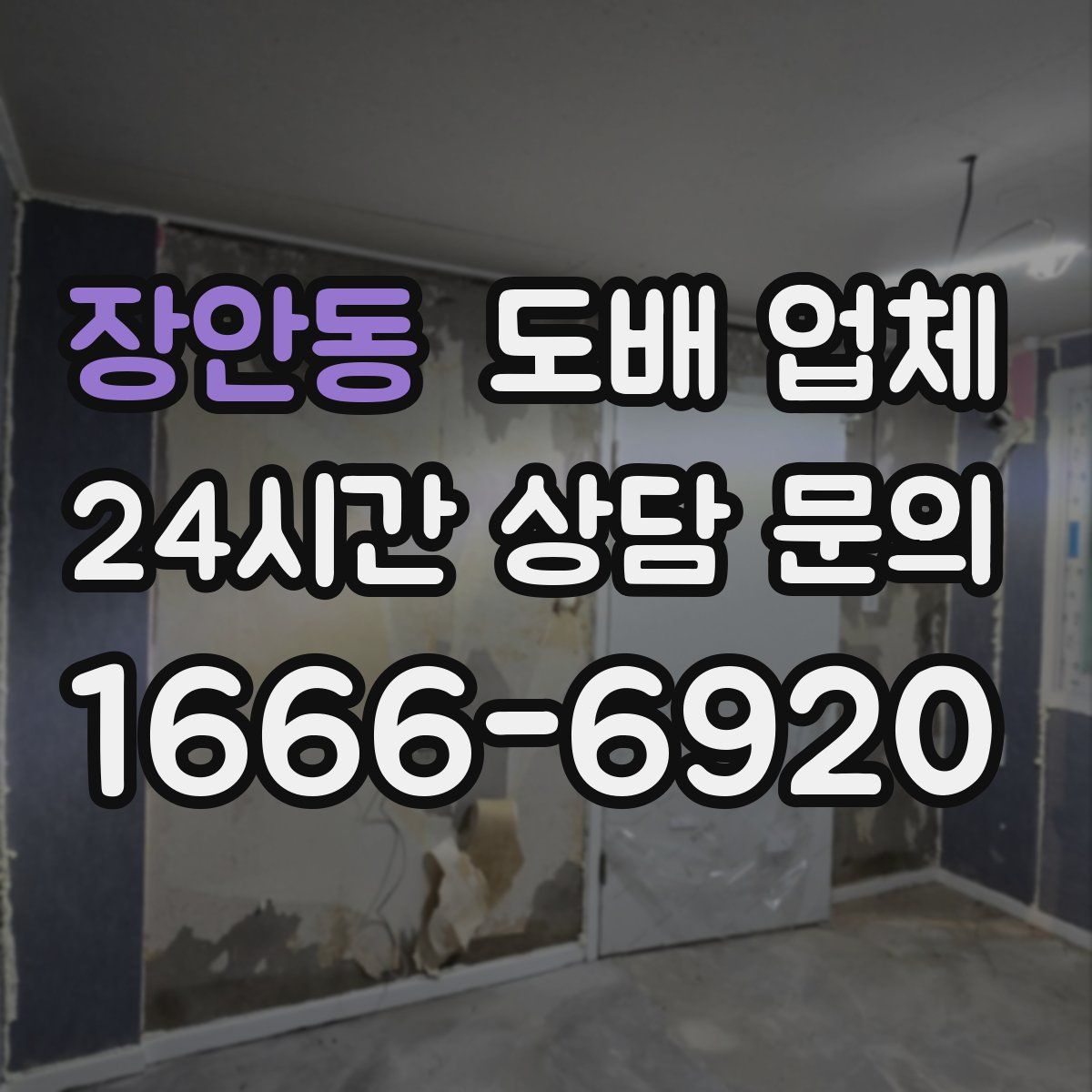 장안동 도배 업체