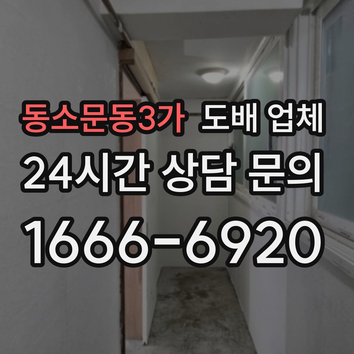 동소문동3가 도배 업체