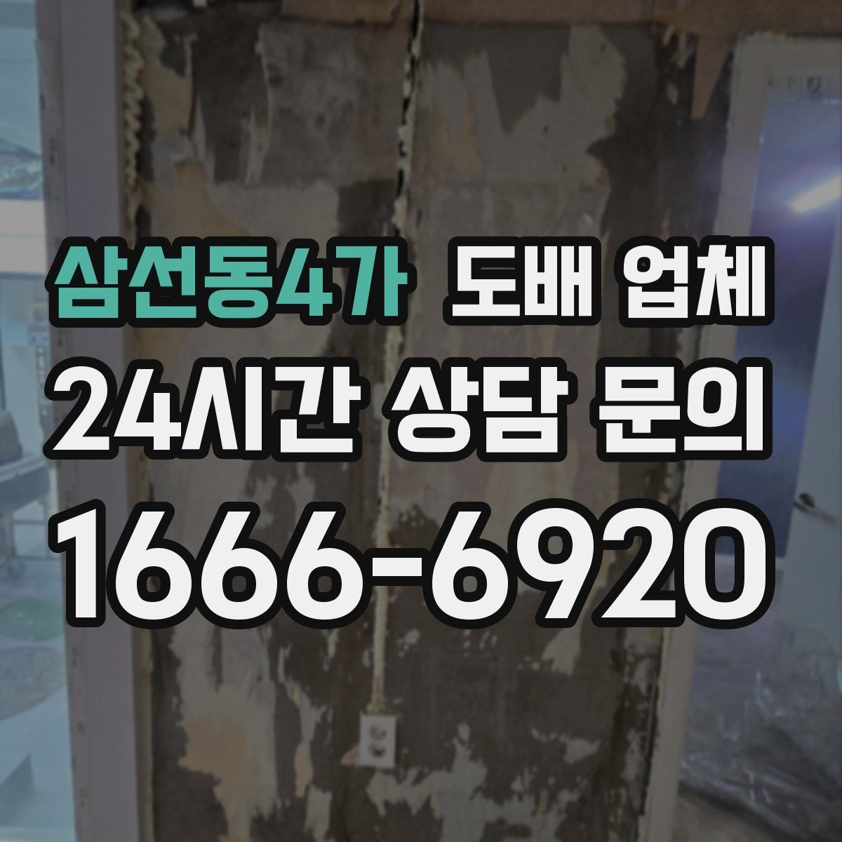 삼선동4가 도배 업체