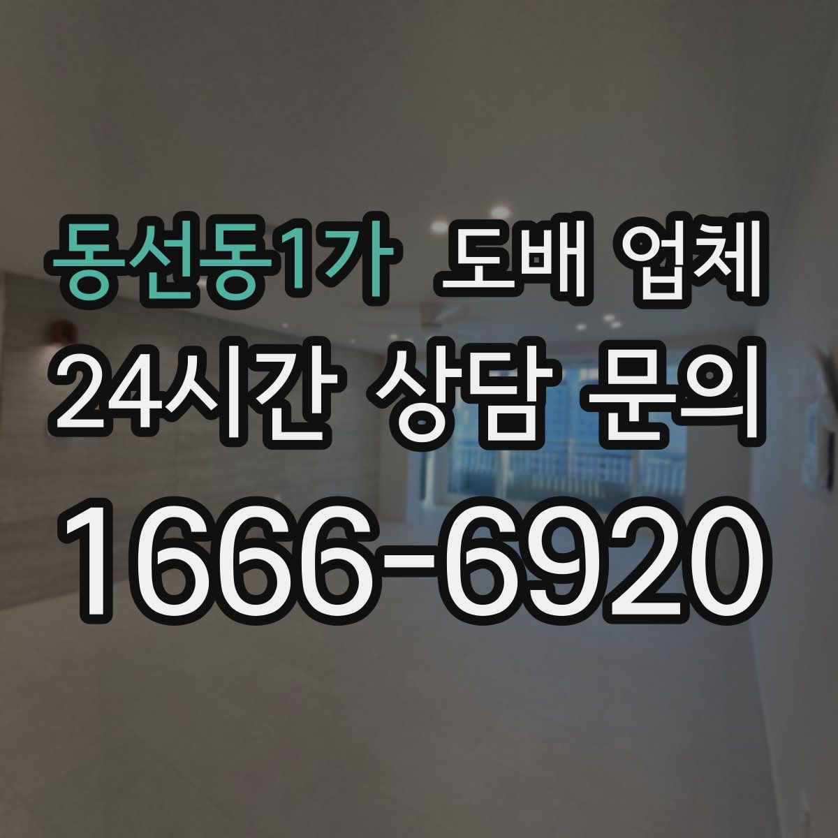 동선동1가 도배 업체