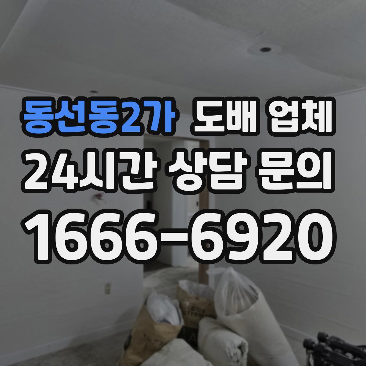 동선동2가 도배 업체
