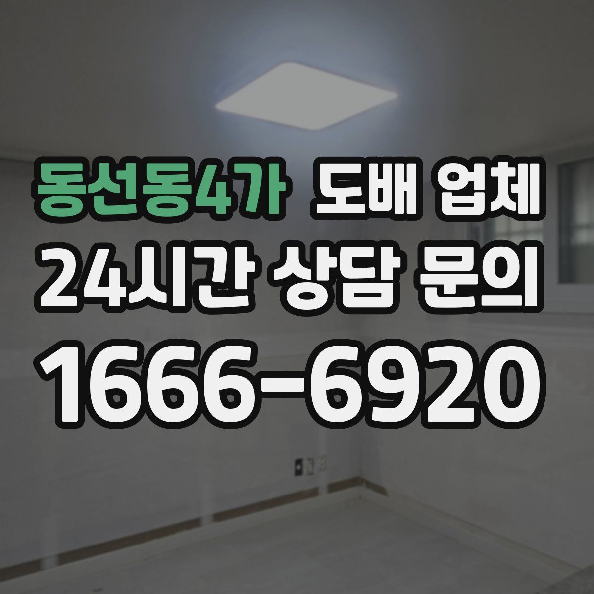 동선동4가 도배 업체