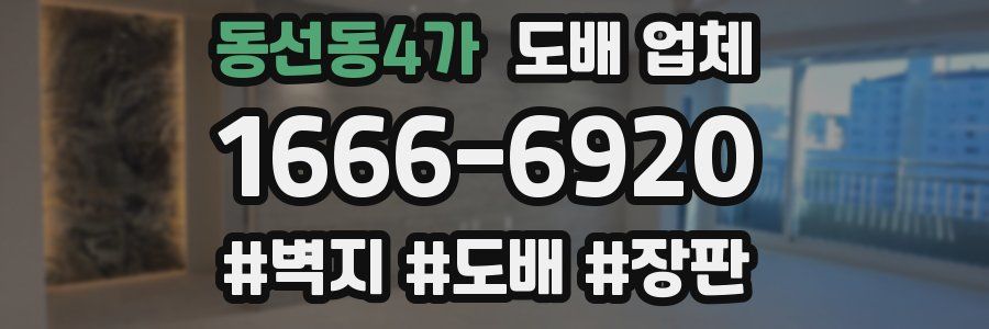 동선동4가 도배 업체
