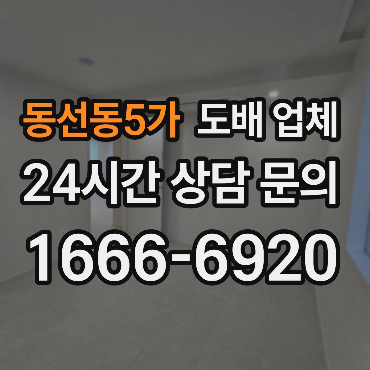 동선동5가 도배 업체