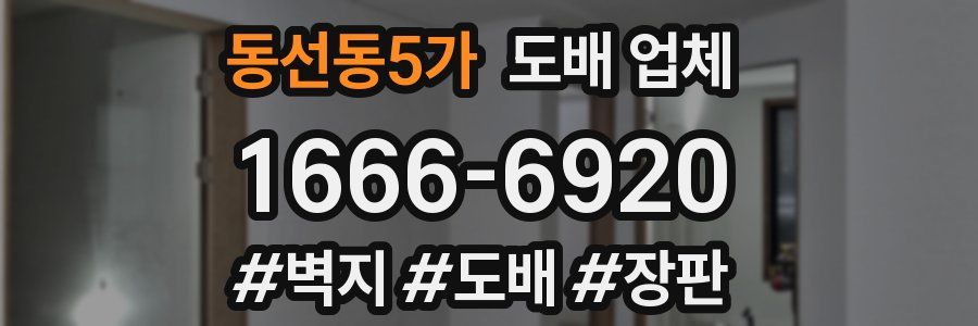 동선동5가 도배 업체