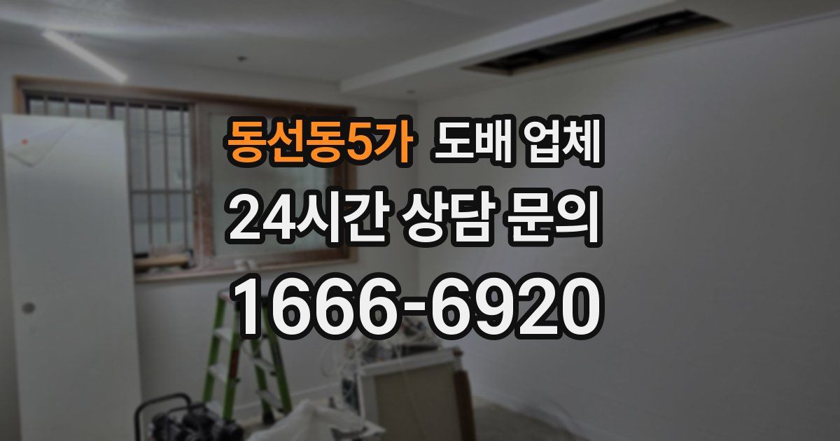 동선동5가 도배 업체