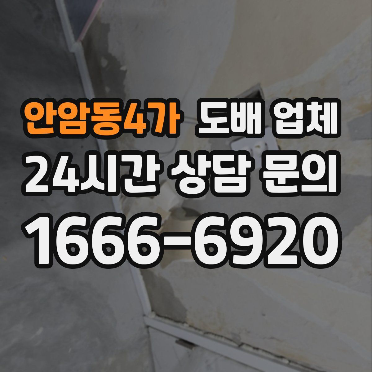 안암동4가 도배 업체