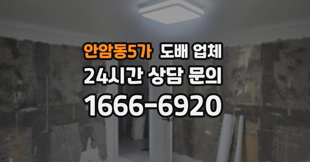 안암동5가 도배 업체