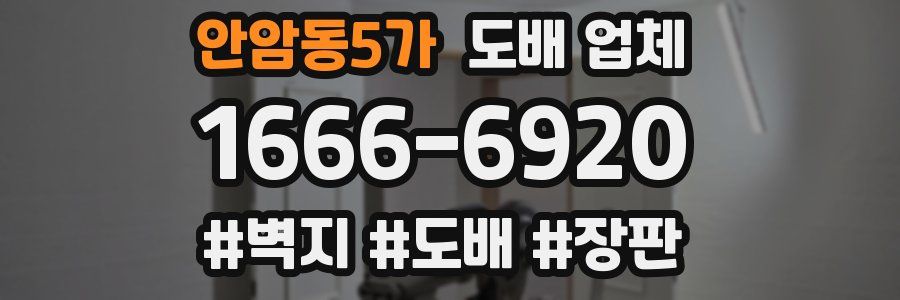 안암동5가 도배 업체