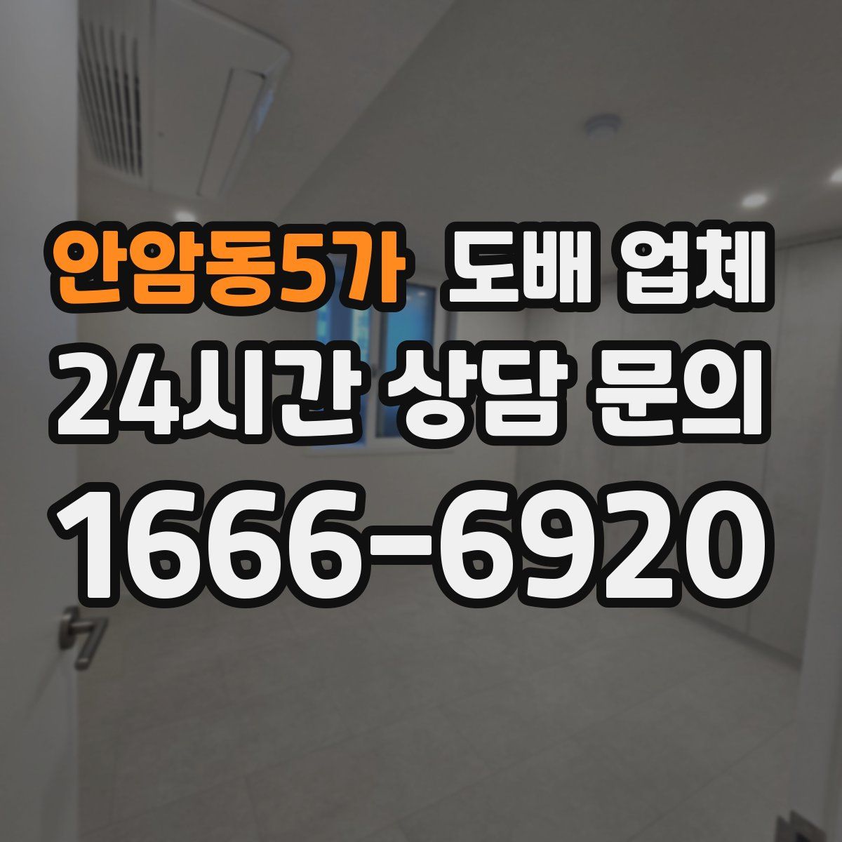 안암동5가 도배 업체
