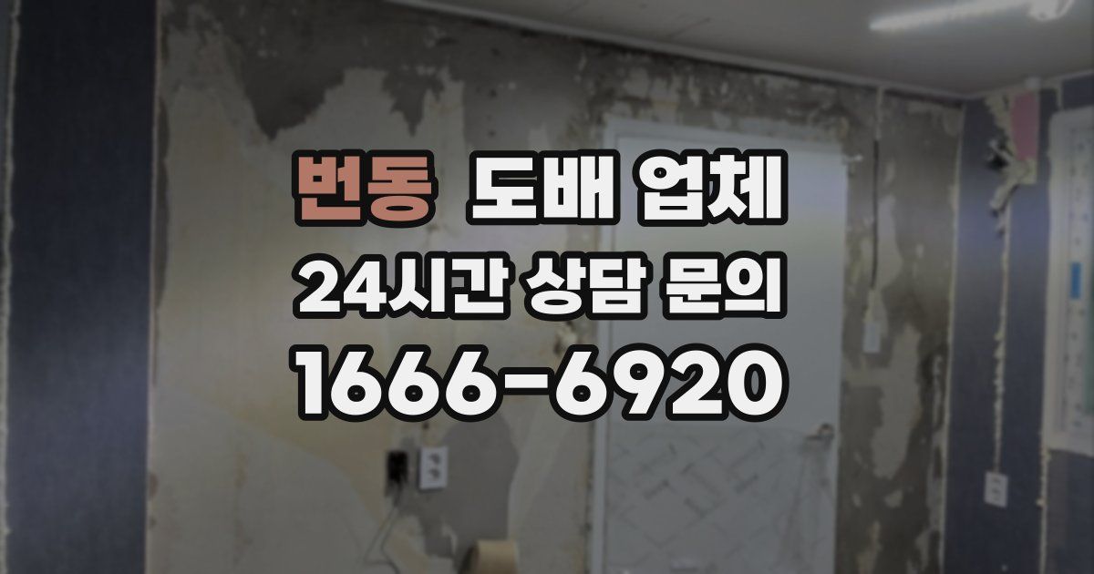번동 도배 업체