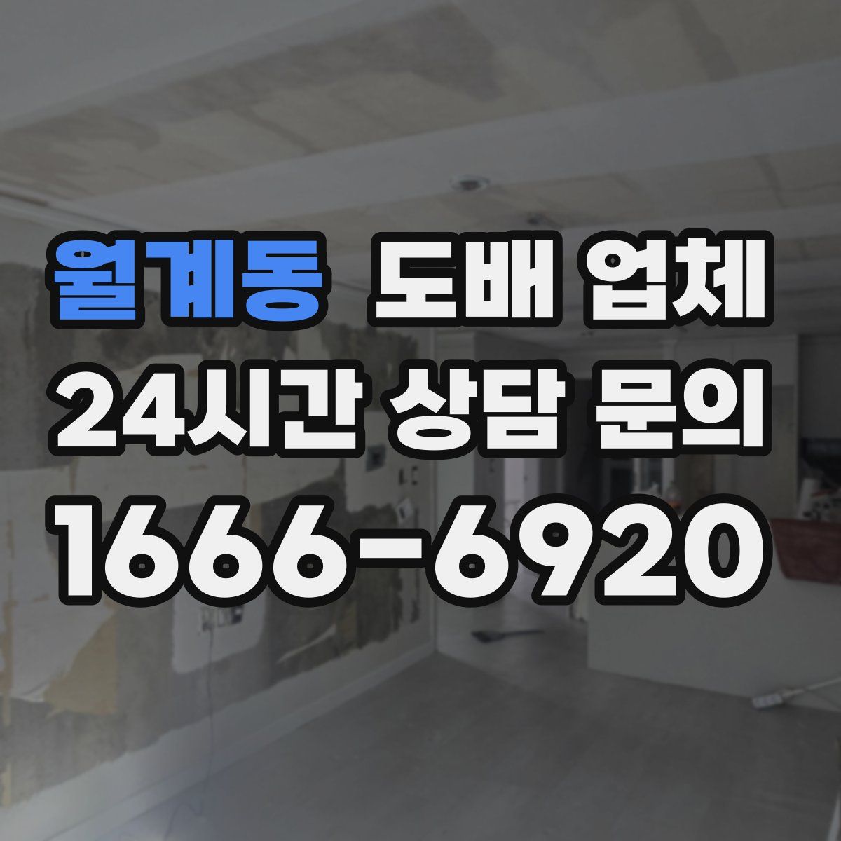 월계동 도배 업체