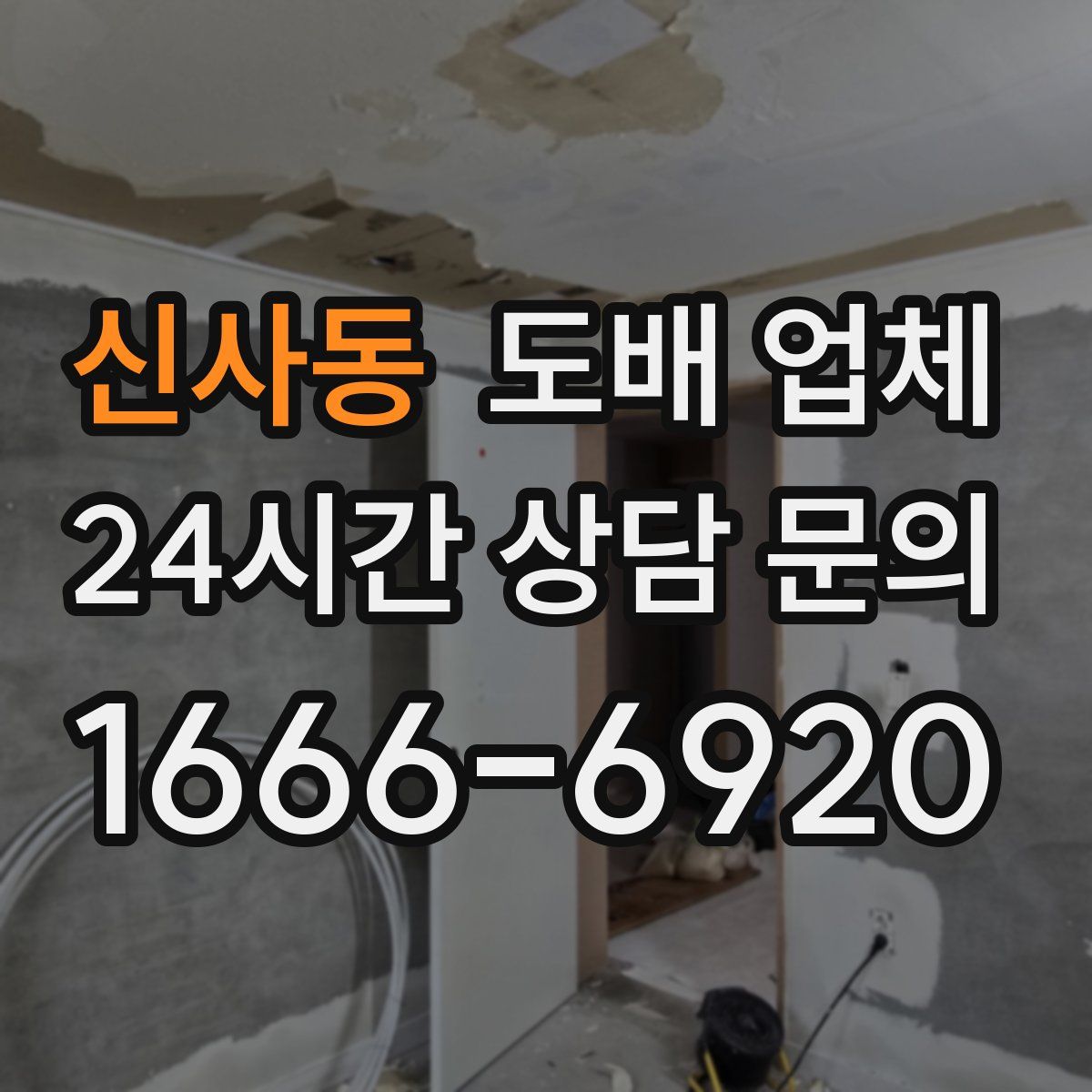 신사동 도배 업체
