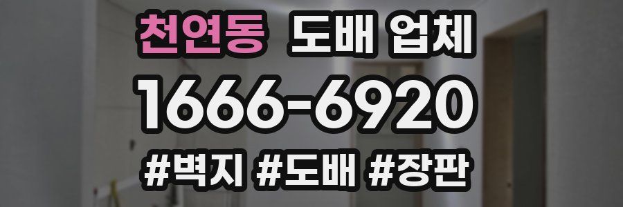 천연동 도배 업체