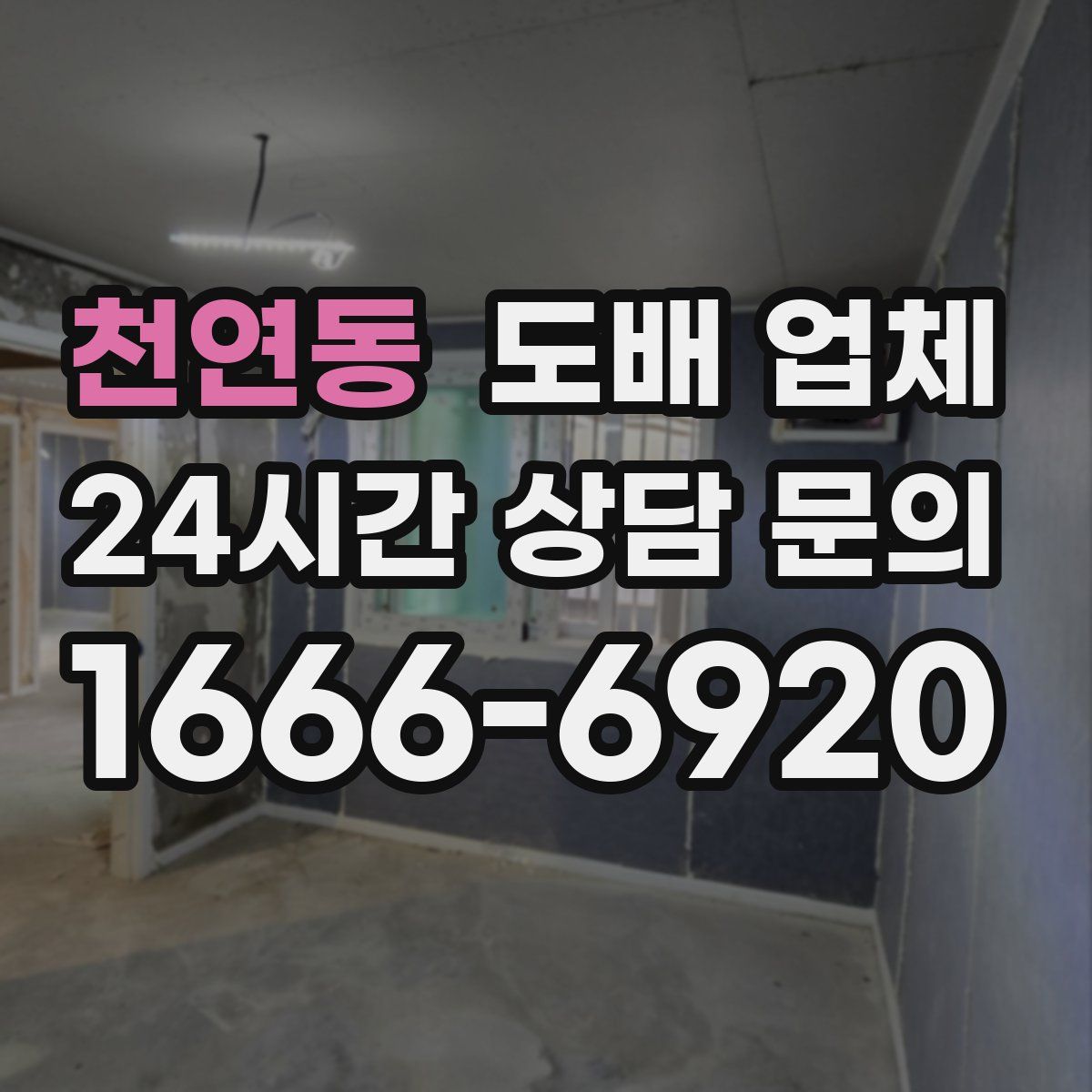 천연동 도배 업체