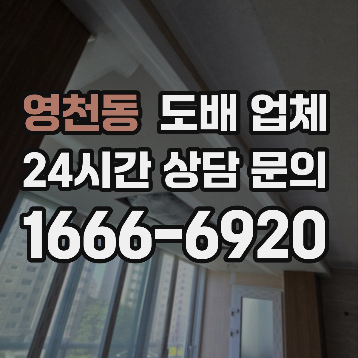 영천동 도배 업체