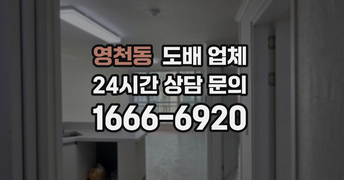 영천동 도배 업체