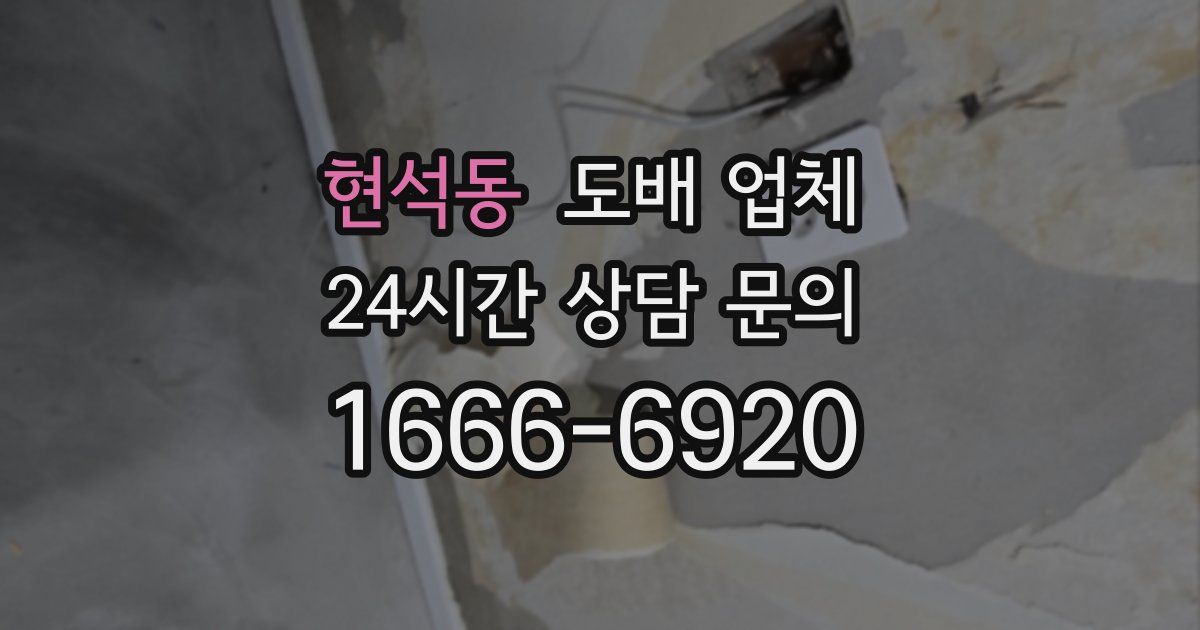 현석동 도배 업체