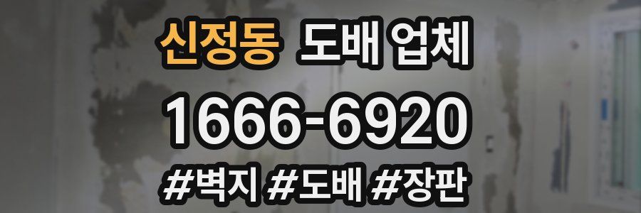신정동 도배 업체