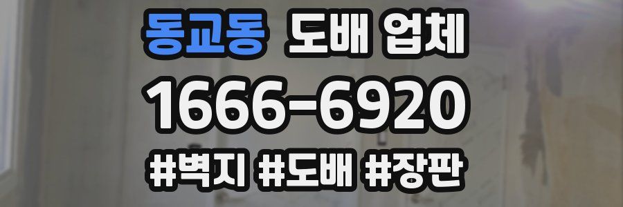 동교동 도배 업체