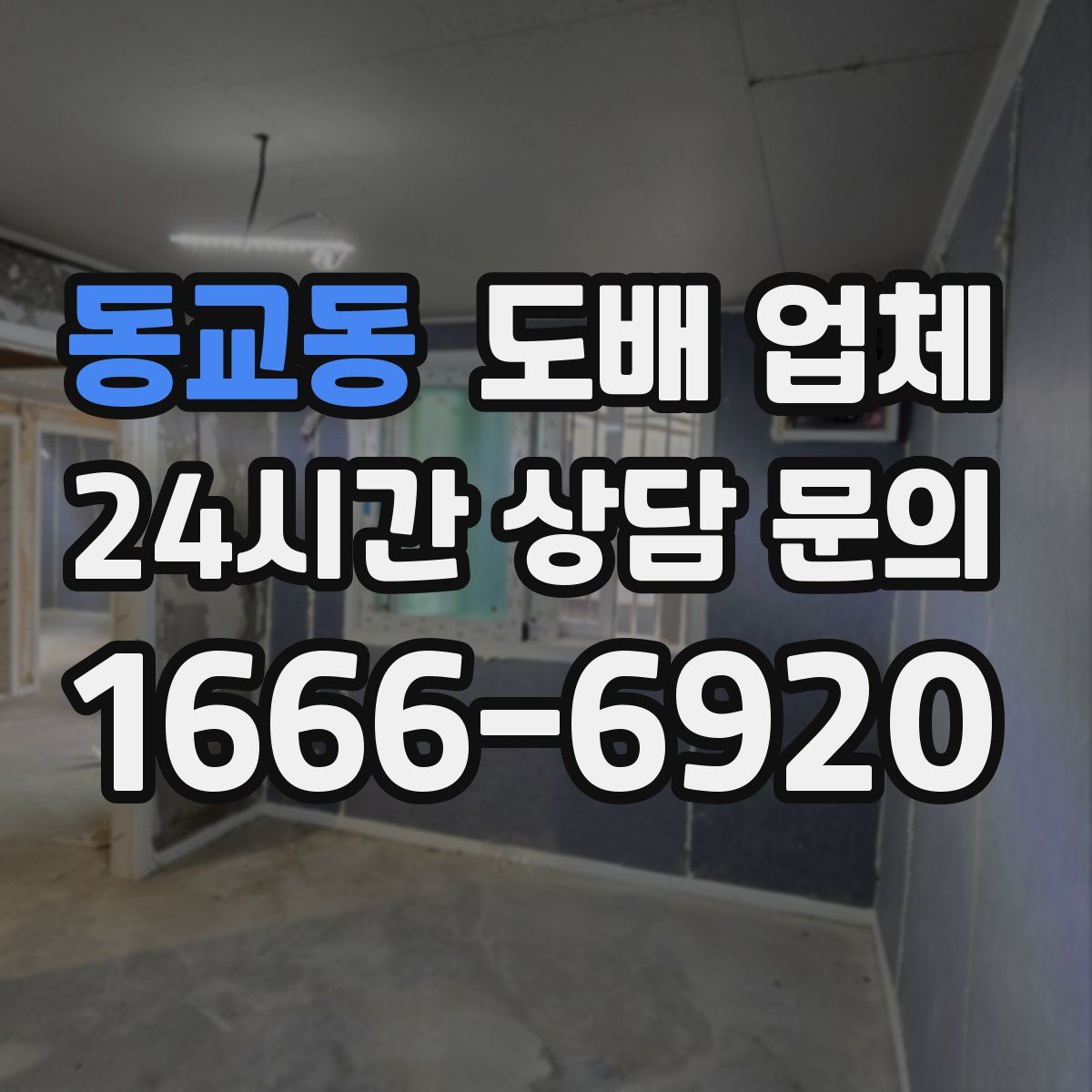 동교동 도배 업체