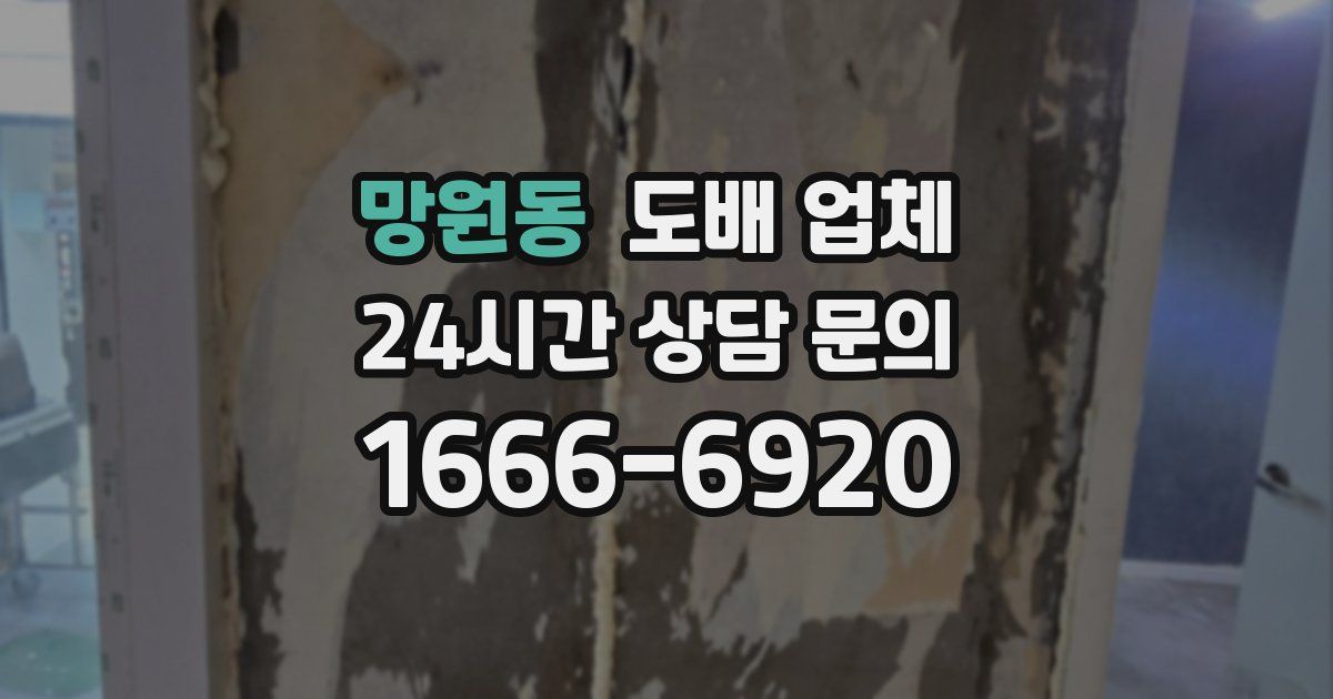 망원동 도배 업체