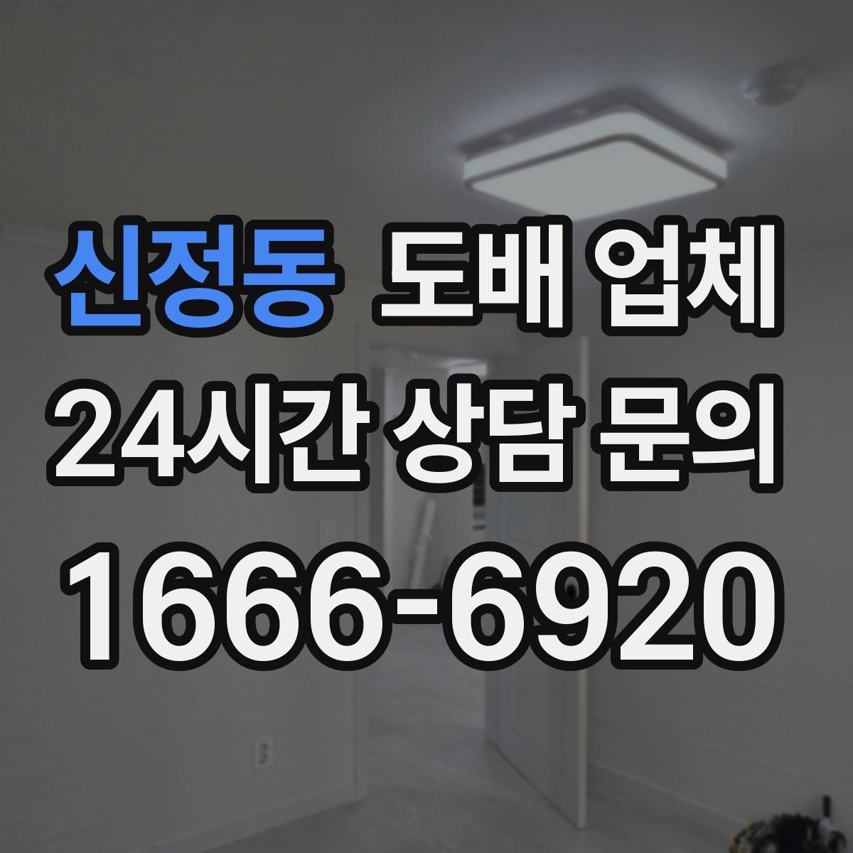 신정동 도배 업체