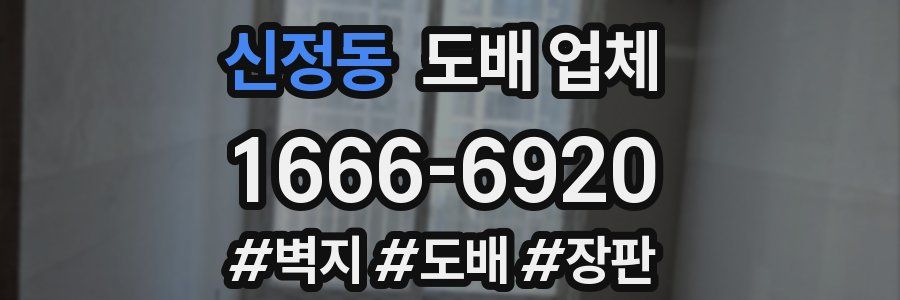 신정동 도배 업체